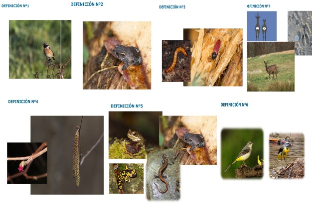 DEFINICIÓN_PONFERRADA