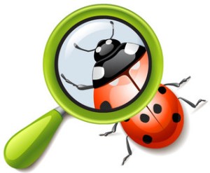 lupa_escarabajo