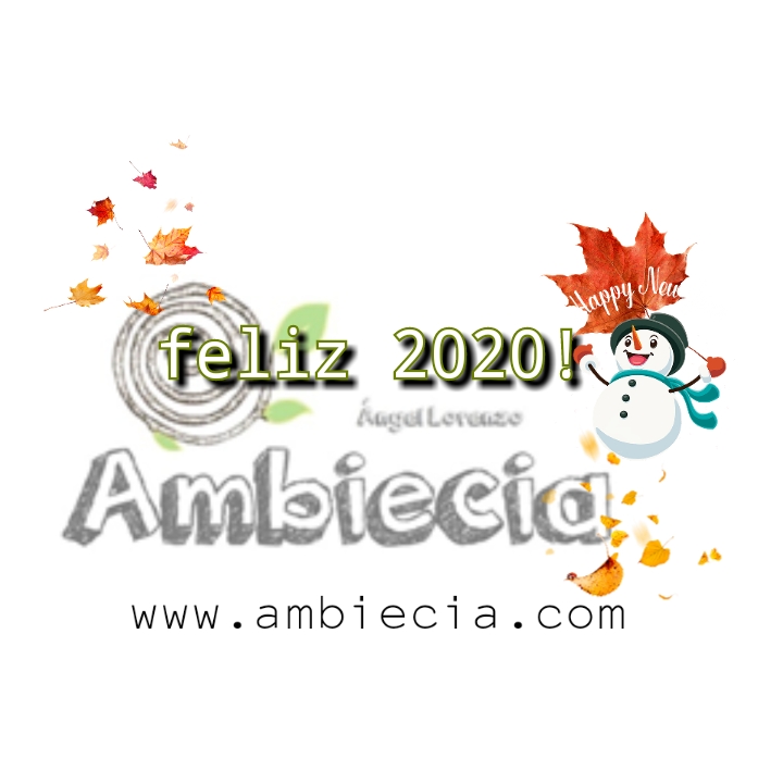 PhotoGrid_1577799985402